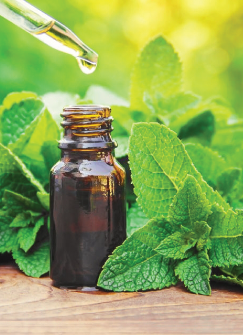 homeopatia-v homeopatia-v