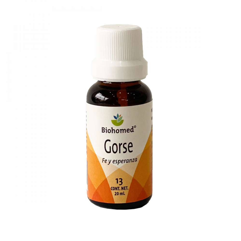 Gorse