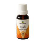 Larch