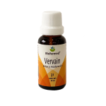 Vervain