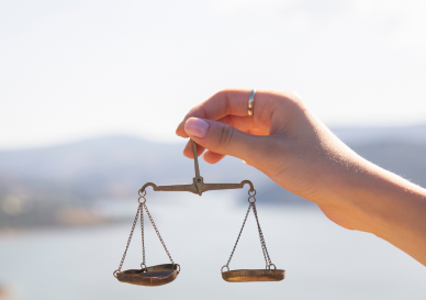 Flores de Bach para lograr el equilibrio emocional