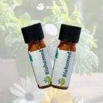 Dúo de Emergencia Natural