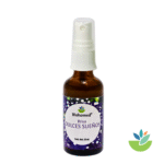 Kit Noche Buena - Imagen 2