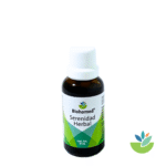 Kit Noche Buena - Imagen 3